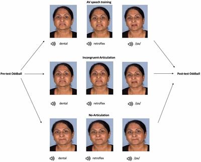 The Effect of Visual Articulatory Information on the Neural Correlates of Non-native Speech Sound Discrimination